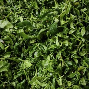 2026单株古树红茶100g
